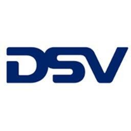 DSV Logo