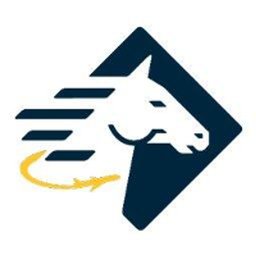 Paladin Airport Security Services Logo