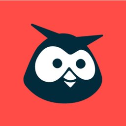 Hootsuite Logo