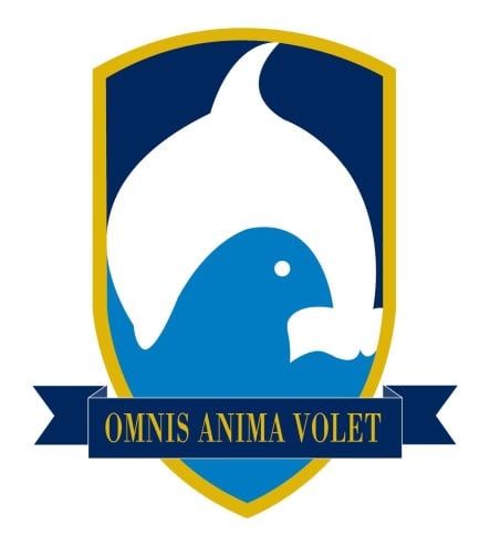 Southridge School Logo