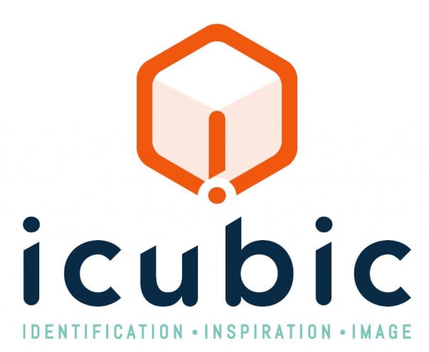Icubic Logo