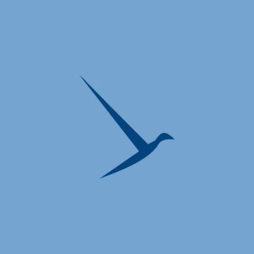 Blitz TI Logo